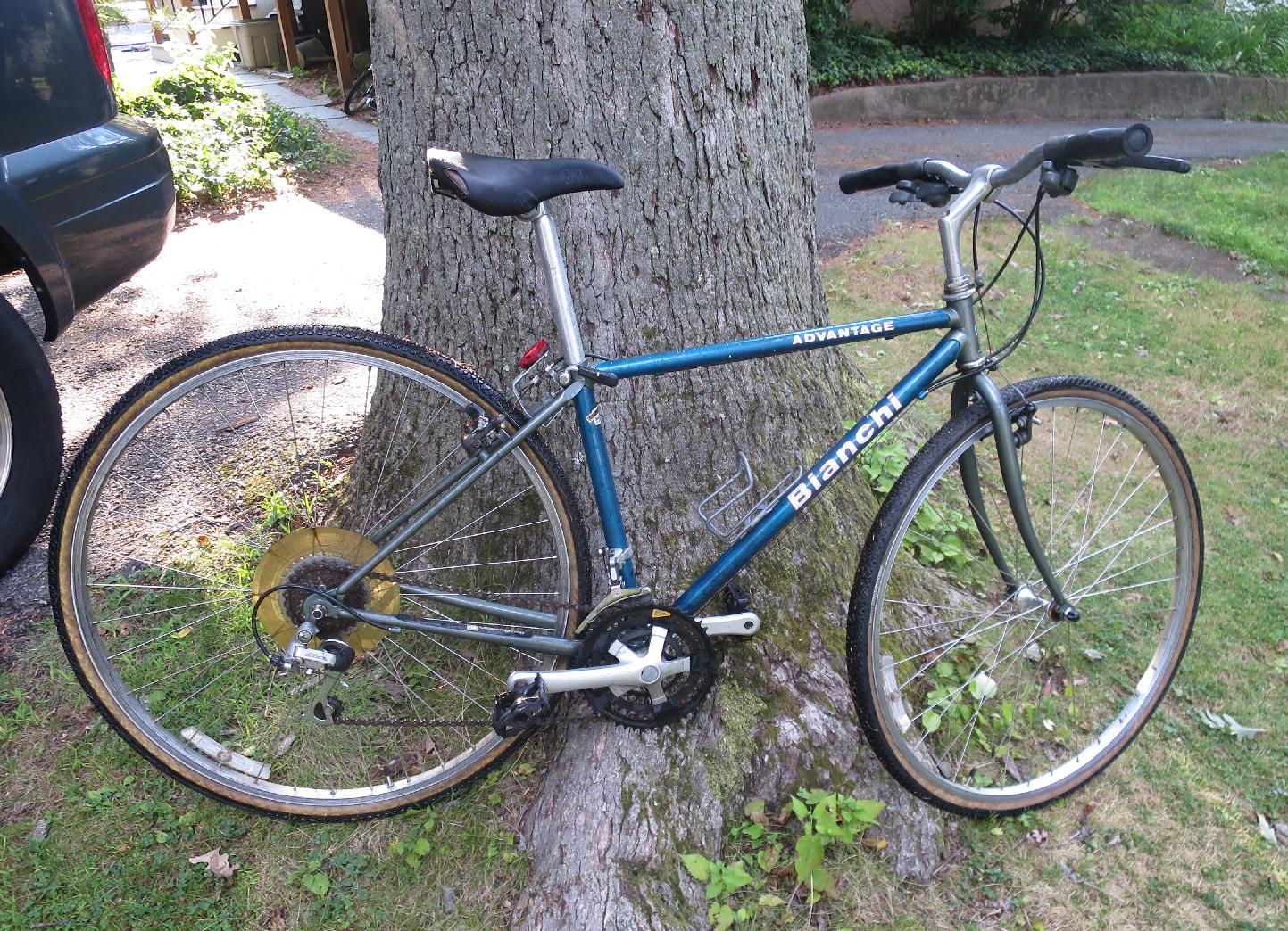 Bianchi Hybrid