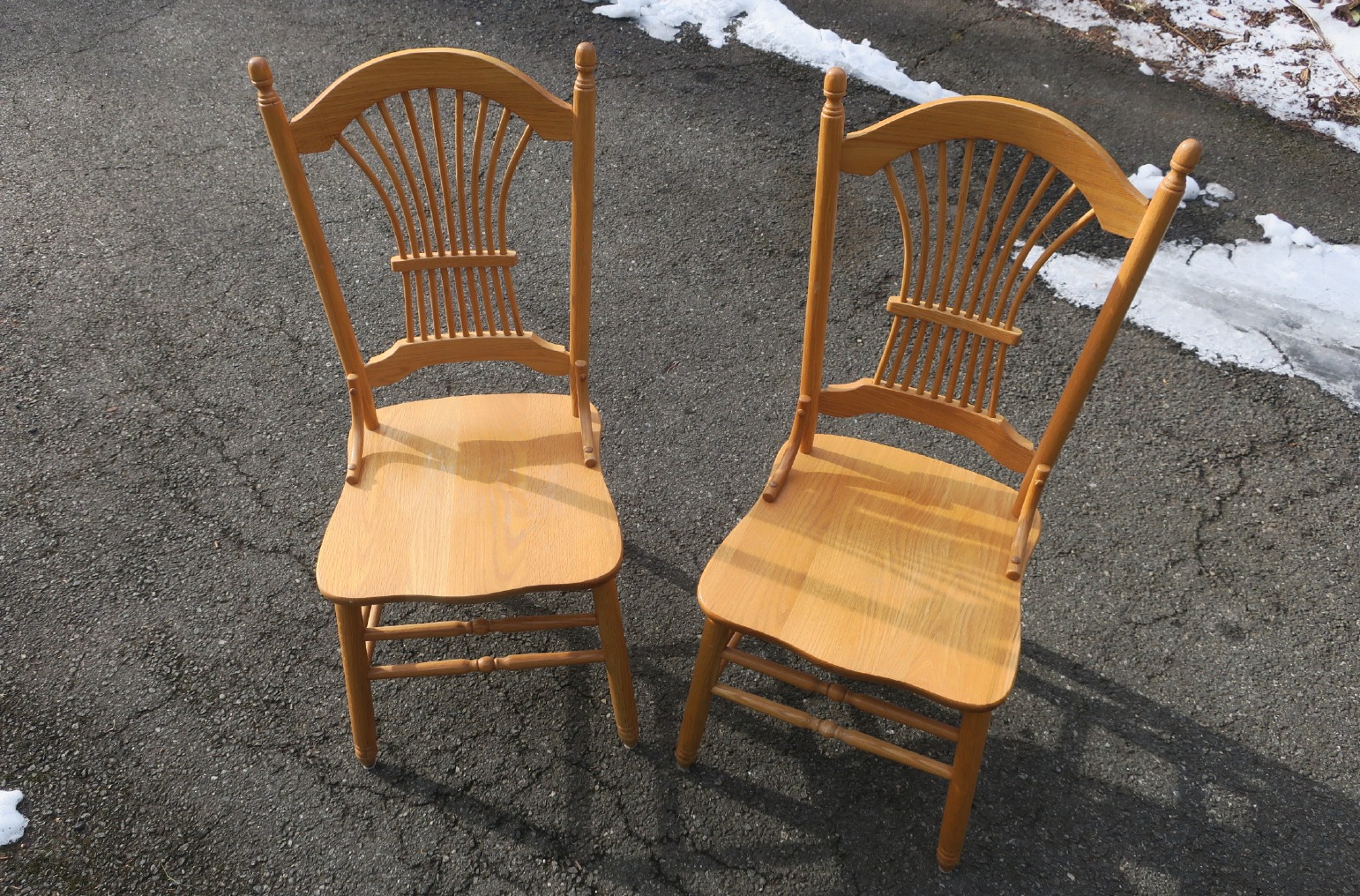 Dining Chairs