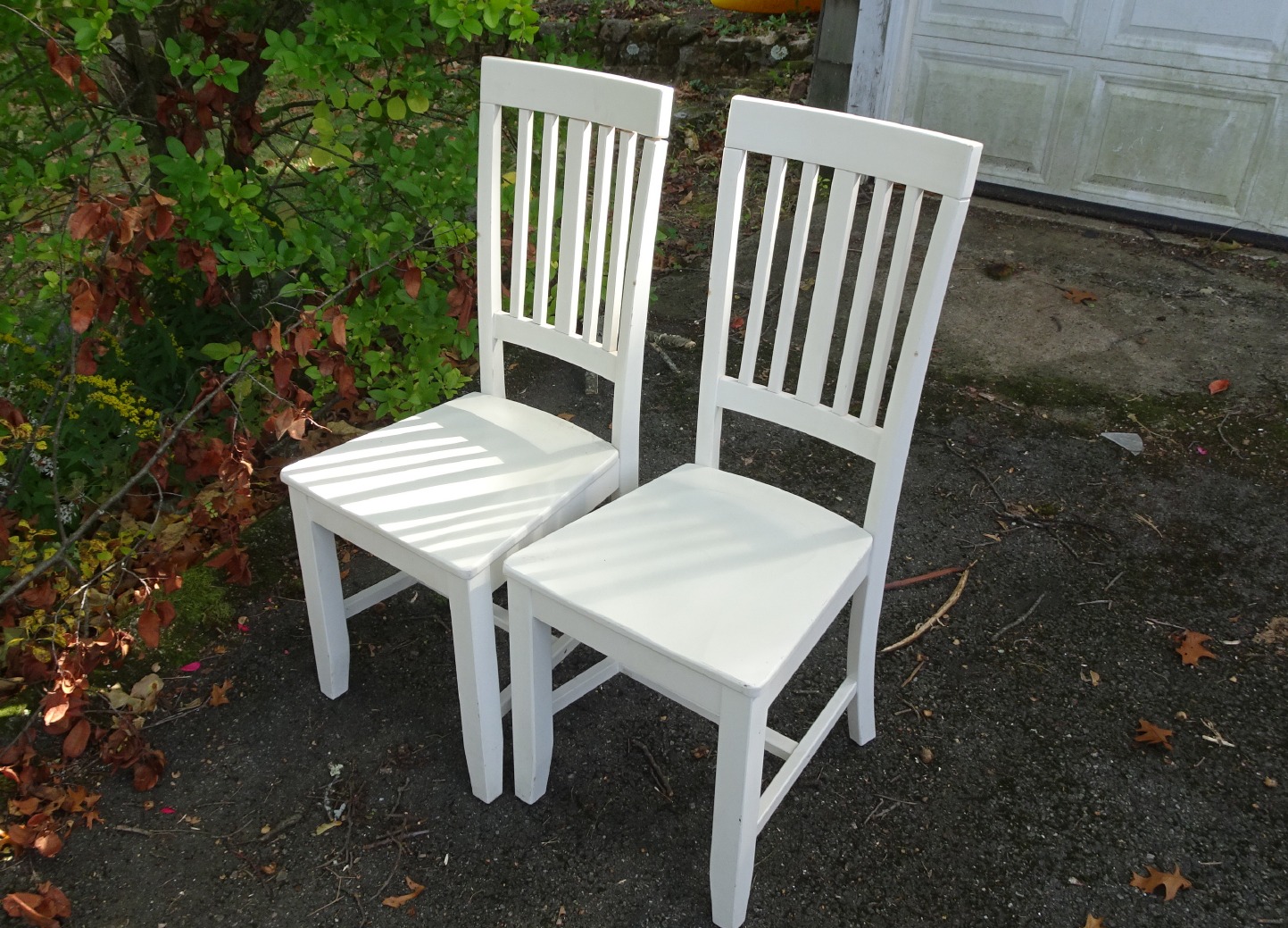 Dining Chairs