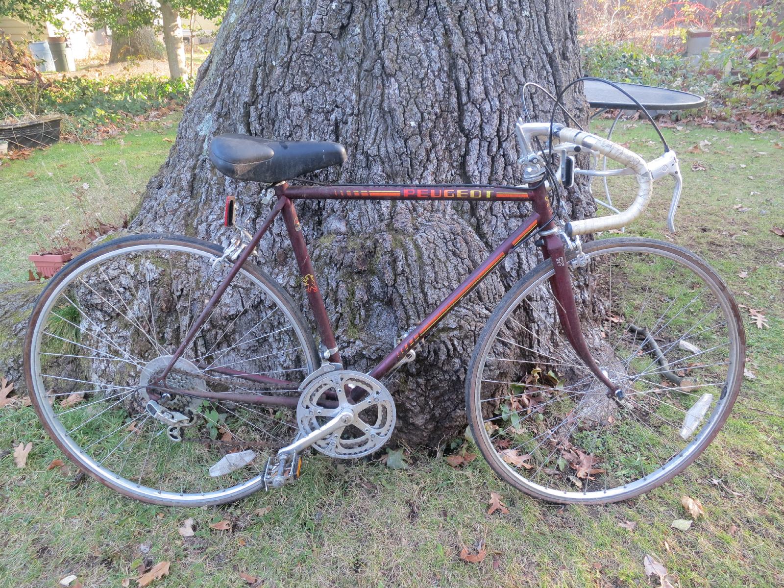 Peugeot Bike