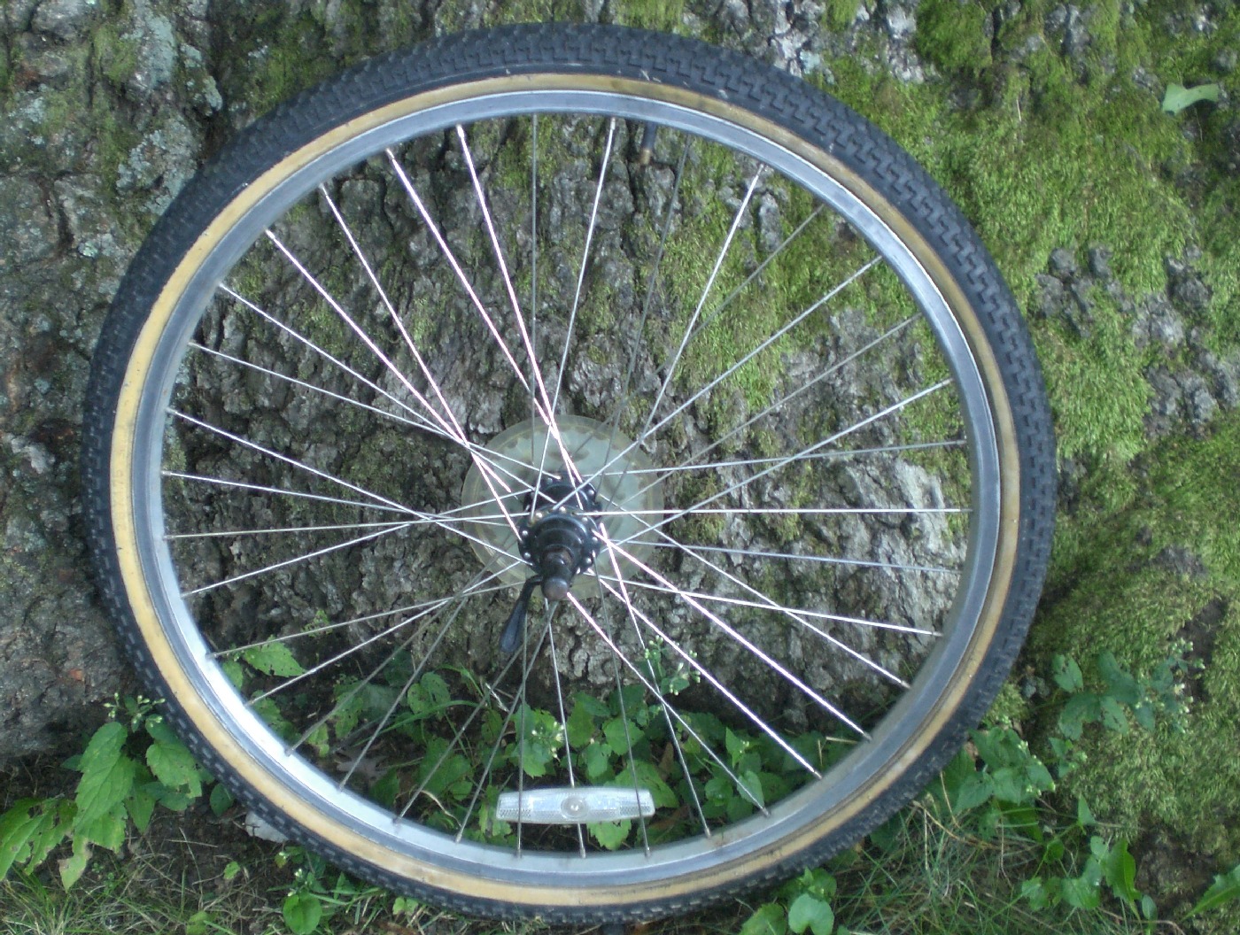 rear bike wheel