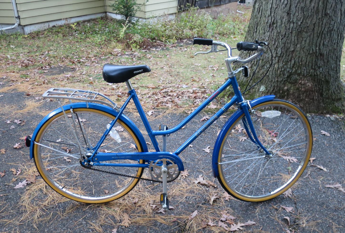 Schwinn Collegiate