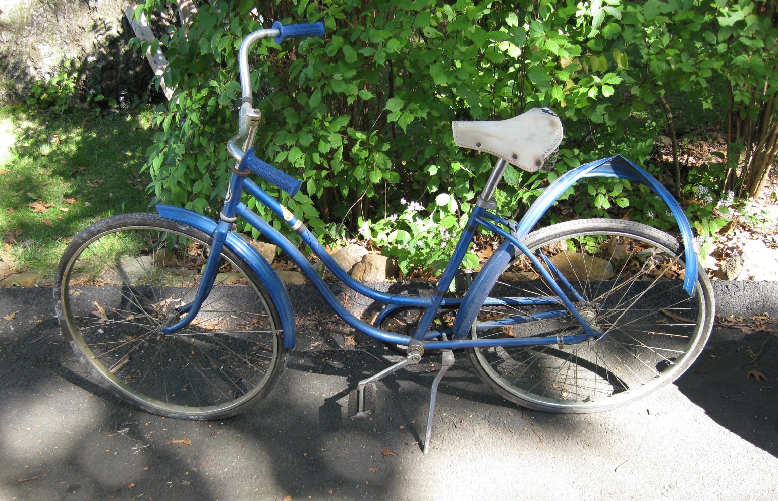 Sears Bike