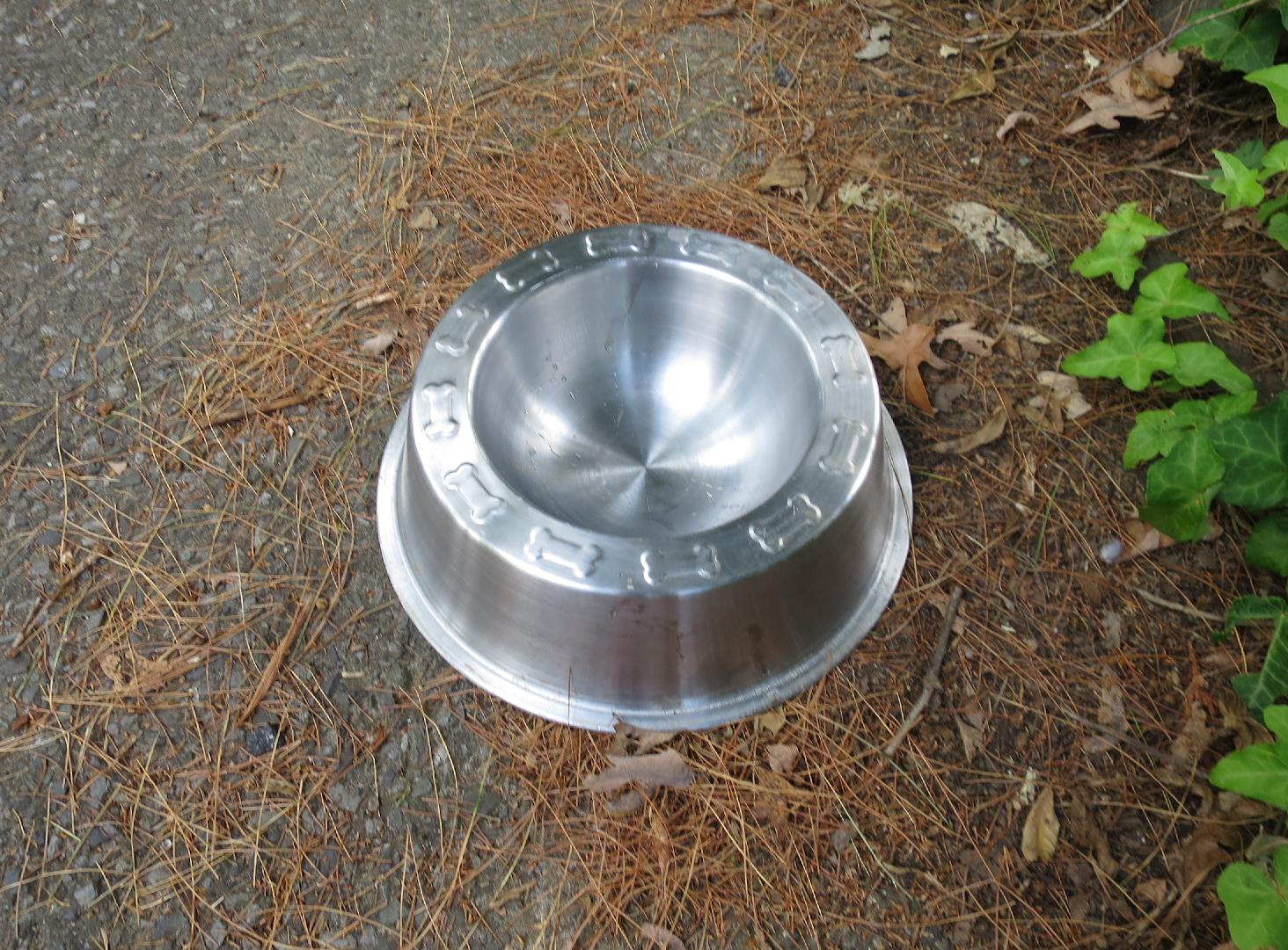 Dog Bowl