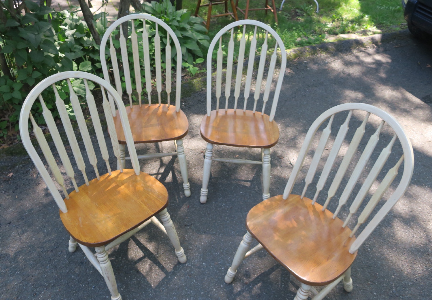 Dining Chairs