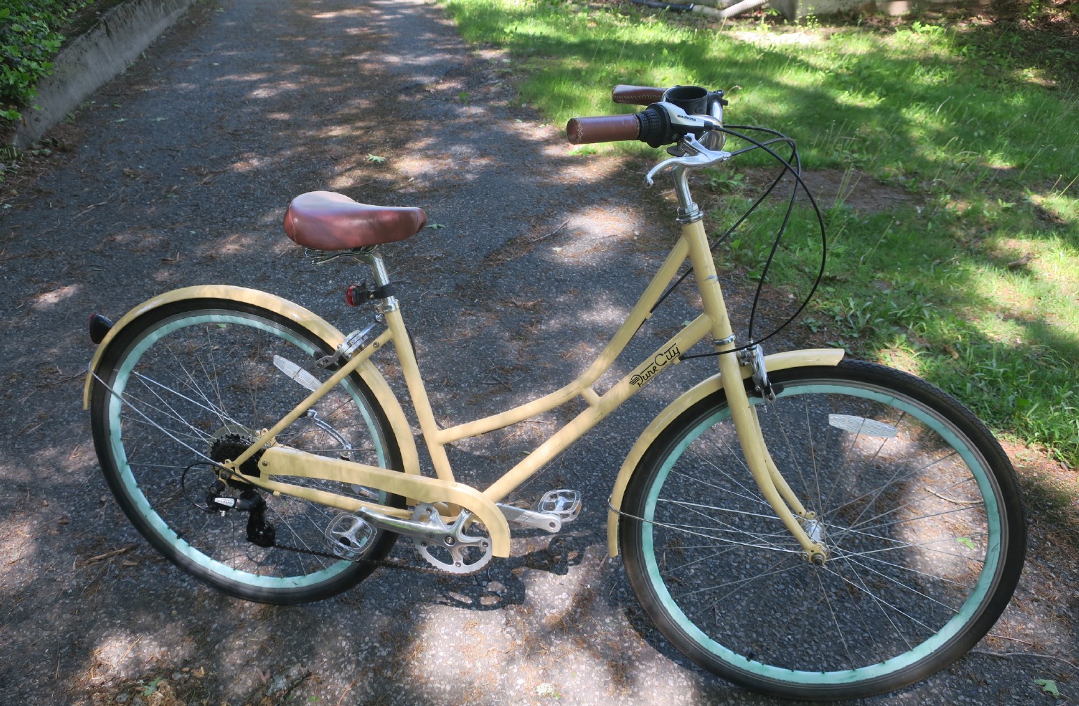 Dune City Bike