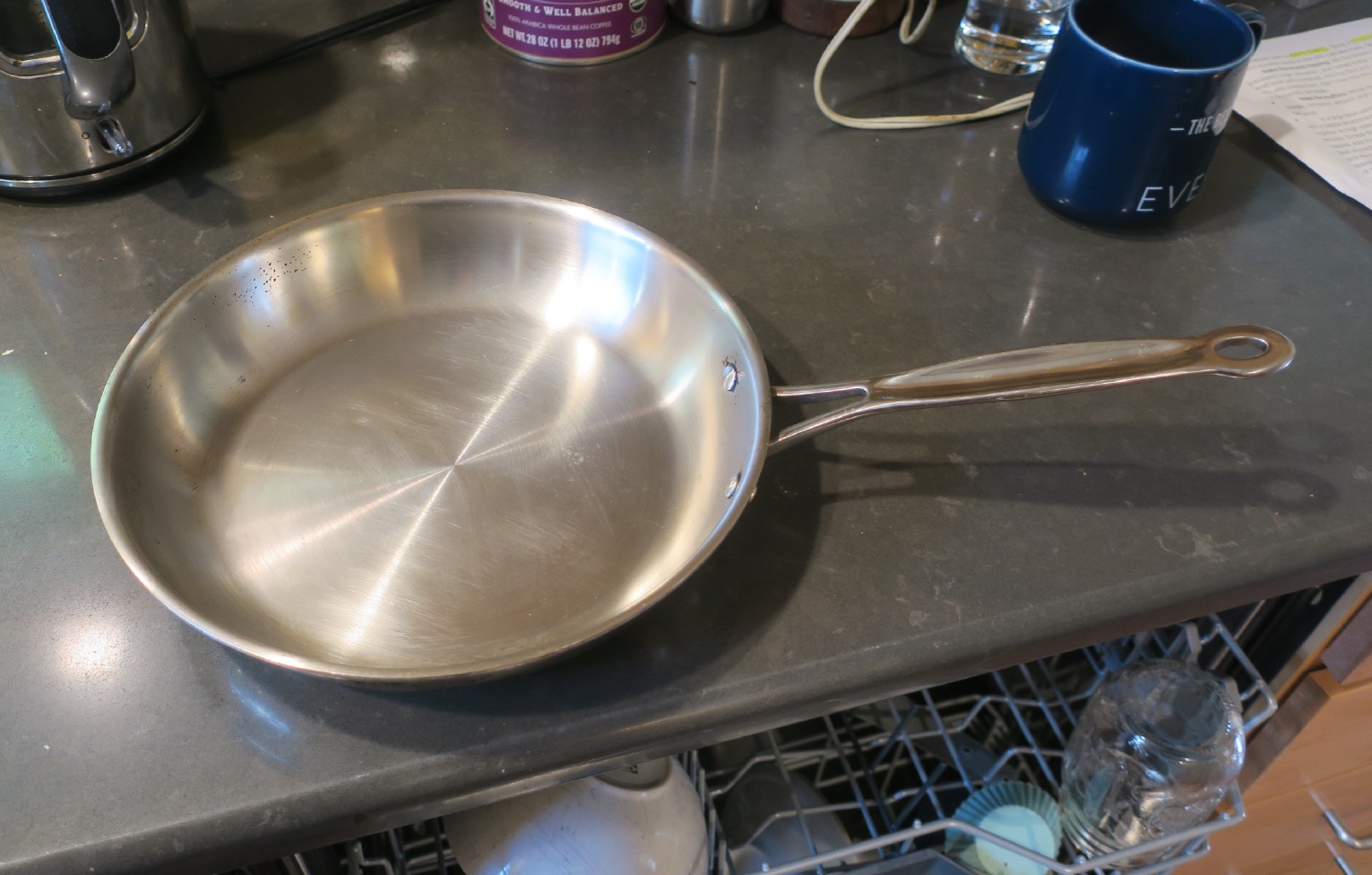 Stainless Skillet