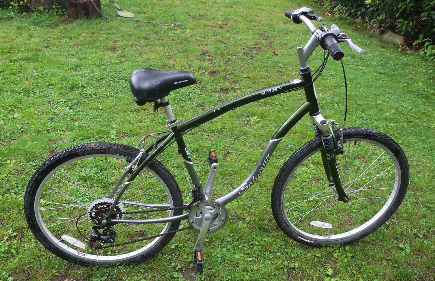 Schwinn Skyliner